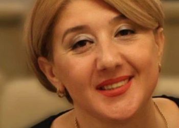 “ადამიანს, რომელსაც გადაუარეთ დედაჩემია, ნინო დადიანიძე. ვერ ვხვდები როგორ შეგიძლიათ ასე უტიფრად ცილი დასწამოთ და შეურაცხყოთ როცა წარმოდგენა არ გაქვთ როგორი პიროვნებაა ნინო” – აცხადებს დაკარგული გურამ დადიანიძის მამიდაშვილი