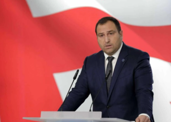 “პროფესიის მიუხედავად, ჩვენს ქვეყანაში გარე ინტერესებს არაერთი ადამიანი ემსახურება…” – ირაკლი კირცხალია