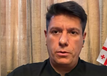 “საქართველოში ევროპული პროექტი საბოლოოდ ჩავარდა…” – მამუკა ფიფია