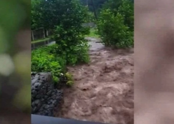 ოზურგეთის მუნიციპალიტეტში მოსულმა უხვმა ნალექმა მდინარეების ადიდება გამოიწვია – ძლიერმა ქარმა ელექტროენერგიის გადამცემი ხაზები დააზიანა