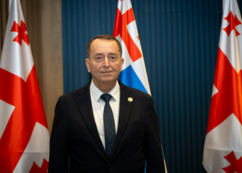 აჭარის უმაღლესი საბჭოს დეპუტატის წინააღმდეგ გამოძიების დაწყებას ითხოვენ