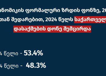 2014 წელთან შედარებით, 2024 წელს ეკონომიკურად აქტიური მოსახლეობის წილი 63.7%-დან 55.6%-მდე შემცირდა, შემცირდა დასაქმების დონეც