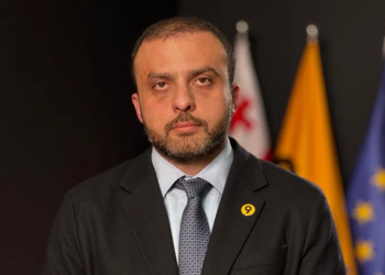 სიორიძე კობახიძისგან იმ კომპანიების დასახელებას მოითხოვს, რომლებმაც ოკუპირებულ აფხაზეთში საწვავი შეიტანეს