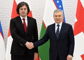 საქართველოსა და უზბეკეთის რესპუბლიკას შორის საერთაშორისო სატვირთო გადაზიდვების ციფრული ნებართვების სისტემა ამოქმედდა