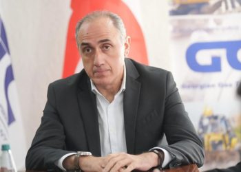 შვებულებაში გაშვებულ ზარდიაშვილის მოადგილედ „ნავთობისა და გაზის ტრანსპორტირების კომპანიის“ ყოფილი ხელმძღვანელი დანიშნეს