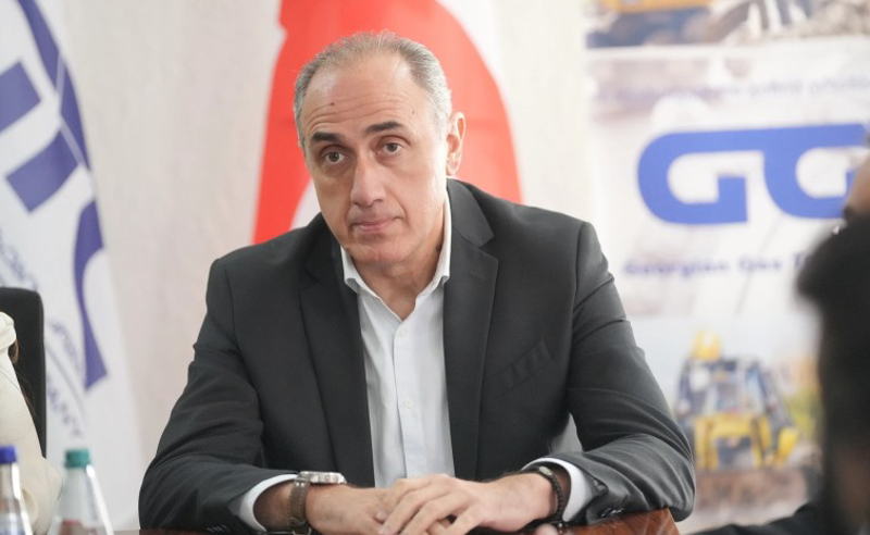 შვებულებაში გაშვებულ ზარდიაშვილის მოადგილედ „ნავთობისა და გაზის ტრანსპორტირების კომპანიის“ ყოფილი ხელმძღვანელი დანიშნეს