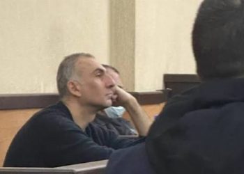 ადვოკატებმა ელისაშვილის 13-წლიანი განაჩენი სააპელაციოში გაასაჩივრეს