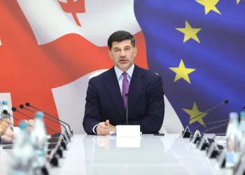 “როდესაც დროის მოკლე მონაკვეთში ამ რაოდენობის ნალექი მოდის, დიდ პრობლემას წარმოადგენს არამხოლოდ ჩვენთან, ჩვენზე უფრო ძლიერ და განვითარებულ ქვეყნებში, ქალაქებში” – რას ამბობს კახა კალაძე