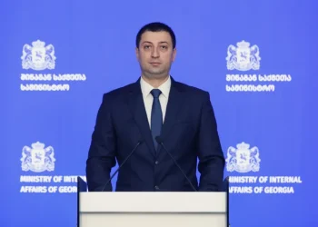 სამართალდამცველებმა 33 კილოგრამამდე ნარკოტიკი ამოიღეს, რომლის ღირებულება ე.წ. შავ ბაზარზე 6 მილიონ ლარს შეადგენს