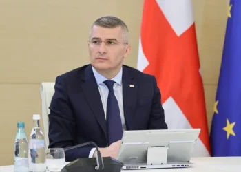 “გუშინ არ დამიწყია ამაზე ფიქრი, ბოლო კვირების განმავლობაში ვფიქრობდი ბევრს…” – რას ამბობს მამუკა მდინარაძე თანამდებობის დატოვებაზე