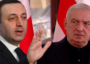 ვოლსკი ღარიბაშვილის განცხადებას “უბადრუკ წერილს” უწოდებს
