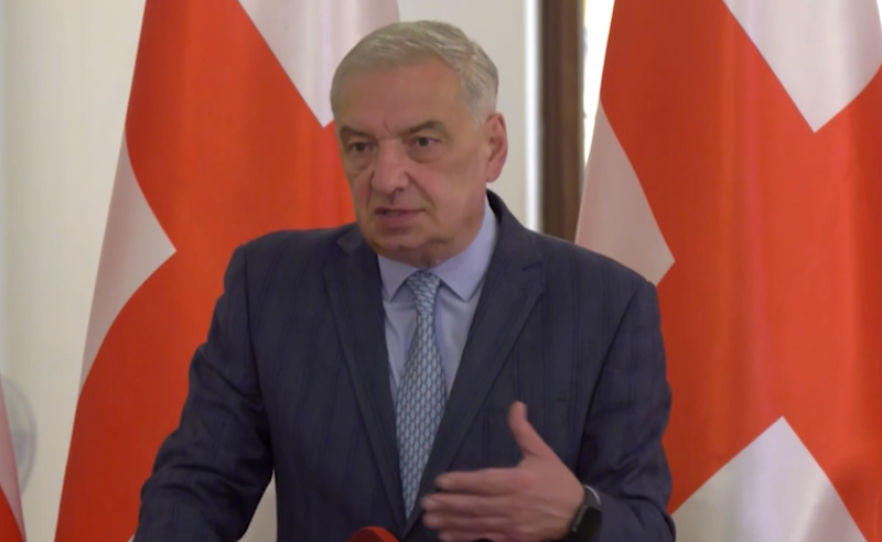 კობახიძის შემდეგ, გეორგიევსკის ტრაქტატის დადებით შედეგებზე ვოლსკიც საუბრობს