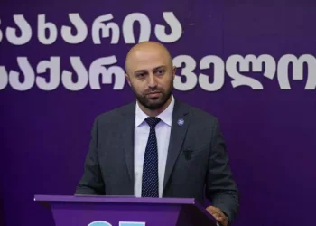 “ღარიბაშვილი უფრო მკაფიო უნდა იყოს თავის განცხადებაში – არ მგონია, რომ მისი მხრიდან რაღაც გმირობის აქტს შეიძლება ჰქონდეს ადგილი” – რას ამბობს ბერდია სიჭინავა