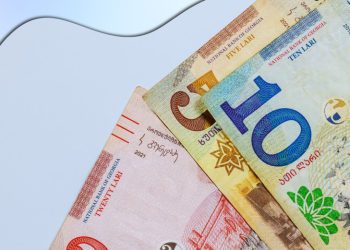 საქართველოში 100 000 ლარზე მეტი ხელფასი 425 დასაქმებულს აქვს