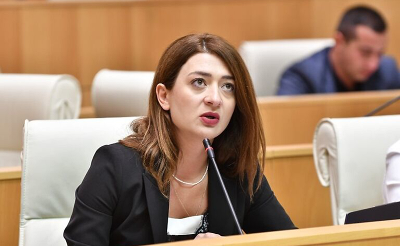 “ეს არის ივანიშვილის პირადი კომფორტის და შეფასებების მიხედვით მიღებული საკადრო გადაწყვეტილებები” – ანა ბუჩუკური