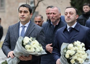 პაპუაშვილი ღარიბაშვილის საქმის პოლიტიკურ მხარეზე არ საუბრობს