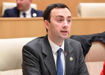 “ირაკლი ღარიბაშვილის თითოეული შემდგომი წერილის მთავარი აზრი უნდა იყოს, ახსნას, საიდან მოიპოვა ამხელა დაუსაბუთებელი ქონება”- რას ამბობს ლევან მახაშვილი