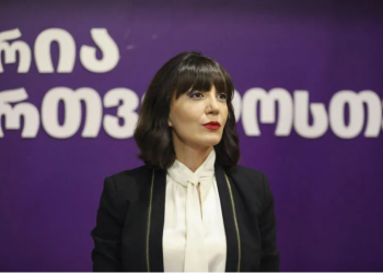 “პაპუაშვილის ყოველდღიური გამოსვლები ცოტა სასაცილო გახდა, ჩვენი, როგორც ოპოზიციური პარტიის მთავარი ამოცანაა, რომ „ქართული ოცნება“ არსად დავტოვოთ მარტო თამარ კეკენაძე