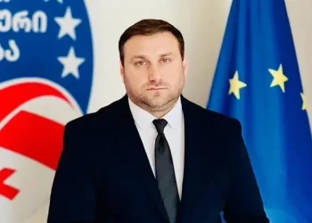 “არა მხოლოდ ვეთანხმები ლევან ხაბეიშვილს, ვმუშაობთ, რომ მისი განცხადება სისრულეში მოვიყვანოთ”- ლაშა ფარულავა