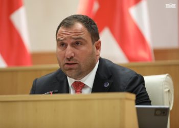 “საქართველოს ჰყავს მეგობრები და პარტნიორები, მაგრამ საქართველოს ბედის გადაწყვეტის უფლება მხოლოდ ქართველ ხალხს ეკუთვნის, ეს პრინციპი ჩვენთვის არ იცვლება”- რას ამბობს ირაკლი კირცხალია