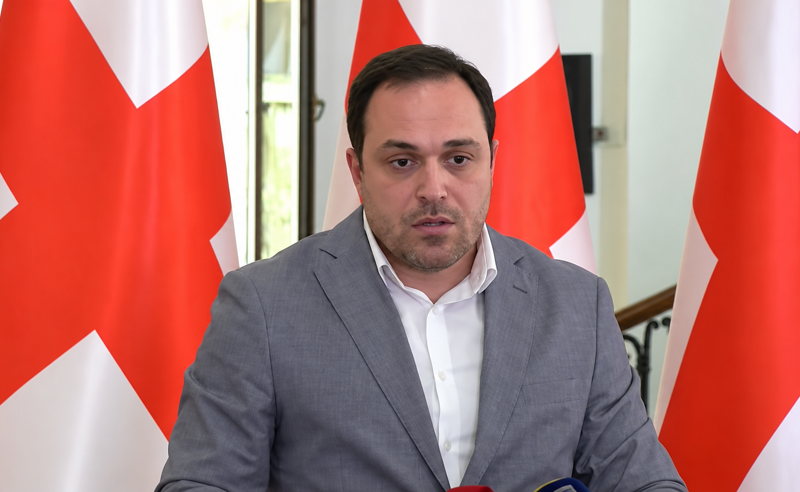 “ღარიბაშვილმა თავად აღიარა ჩადენილი დანაშაული… ვინმემ დააბრალა?” – რას ამბობს გიორგი გაბუნია