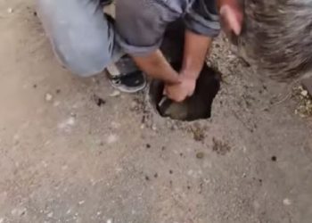 “მთელი გზა ავარიულია , სახლს ბზარები გაუჩნდა…” – ვრცელდება ვიდეო