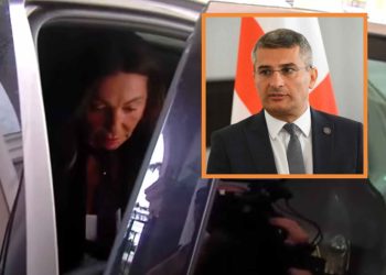 “დაიღალა ალბათ” – როგორ აფასებს მამუკა მდინარაძის  პოლიტიკიდან წასვლას ეკა ჭიჭინაძე