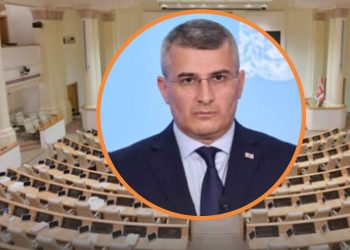 მამუკა მდინარაძის თანამდედობა გაუქმდა