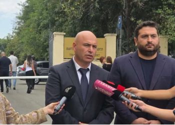 “სამ თვეზე მეტია, რაც სასამართლომ ე.წ. ძაღლების საქმე თაროზე შემოდო, რადგან მტკიცებულებები არ გააჩნიათ და „ოქროს მოწმეებად“ ჰყავთ მხოლოდ ძაღლები …”- რას ამბობს ალეკო ელისაშვილის ადვოკატო