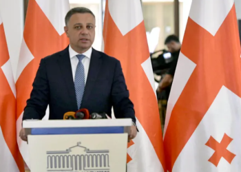 “კენჭისყრისას, წამის მეასედში მოხდა ტექნიკური შეცდომა და ამის შემდეგ დარბიან ასეთი ამჩატებული, მეცოდებიან ის ადამიანები, რომლებიც ამ ფაქტზე აჟიოტაჟს ქმნიან…”- რას ამბობს ალუდა ღუდუშაური