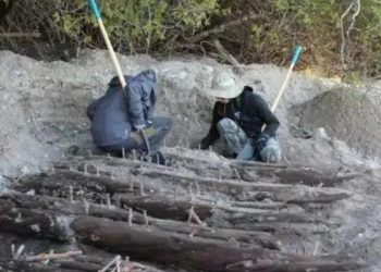 8 წლის ბიჭმა მეტალოდეტექტორით 170 წლის წინ ჩაძირული გემის ნაშთი აღმოაჩინა