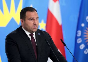“საქართველოს ჰყავს მეგობრები და პარტნიორები, მაგრამ საქართველოს ბედის გადაწყვეტის უფლება მხოლოდ ქართველ ხალხს ეკუთვნის”- რას ამბობს ირაკლი კირცხალია