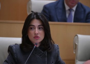 “დღევანდელ გლობალურ ქაოსში საქართველო დგას მტკიცედ, ვითარდება და ინარჩუნებს სტაბილურობასა და უსაფრთხოებას”- რას ამბობს ლიკა შარტავა