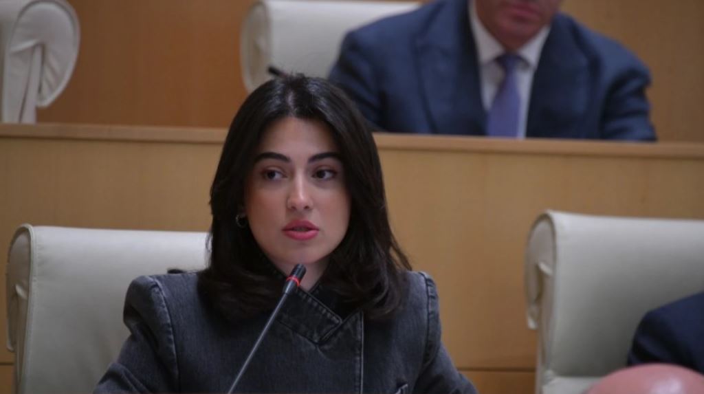 “დღევანდელ გლობალურ ქაოსში საქართველო დგას მტკიცედ, ვითარდება და ინარჩუნებს სტაბილურობასა და უსაფრთხოებას”- რას ამბობს ლიკა შარტავა