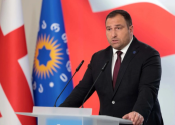 “ისლანდიაში 47% არ გამოვარდნილა და არ დაუწყია 53%-ისთვის იმის ძახილი, რომ პრორუსი ხარ, რევოლუციის მცდელობა არ ჰქონიათ” – ირაკლი კირცხალია