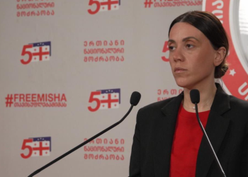 “ბიძინა ივანიშვილმა ეს ქვეყანა აქცია „ბარიგების“ ერთ დიდ თავშესაფრად…”- რას ამბობს ანა წითლიძე