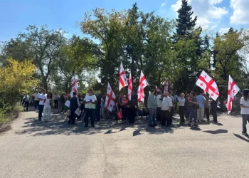 კრწანისის ტყე-პარკში ე.წ. არაბული ქალაქების მშენებლობის შეწყვეტის მოთხოვნით აქცია გაიმართა