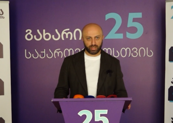 “რუსეთი ცხინვალის ფაქტობრივი ანექსიისთვის ემზადება, ხელისუფლება კი დუმს” – რას ამბობს ბერდია სიჭინავა