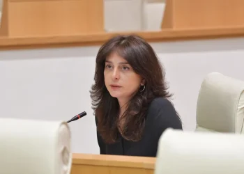 მაია ბითაძეს სადეპუტატო უფლებამოსილება შეუწყდა
