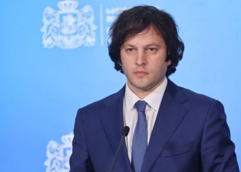 კობახიძის პირველი კომენტარი ბურჭულაძისთვის საპროცესო შეთანხმებაზე