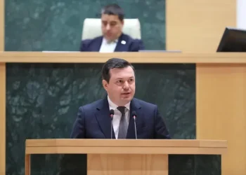 “სრული აბსურდია ხელისუფლების წარმომადგენელთა თავის მართლება, თითქოს ჩორჩანაში საგუშაგოს განთავსების შესახებ „არაფერი იცოდნენ“ – საღი აზრის მქონე არცერთ ადამიანს არ სჯერა ამ ზღაპრის”- რას ამბობს გიგა ფარულავა