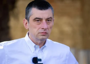 გიორგი გახარია განცხადებას ავრცელებს