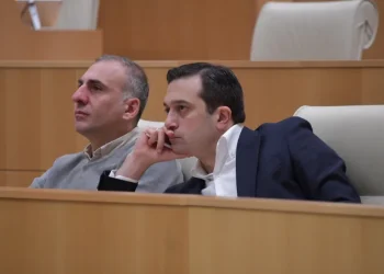 ომბუდსმენი ალეკო ელისაშვილის საქმეზე სააპელაციო სასამართლოს  „სასამართლოს მეგობრის“ მოსაზრებით მიმართავს და აღნიშნავს, რომ სასამართლომ ტერორისტული მიზანი პოლიტიკურ პროტესტთან ავტომატურად გააიგივა