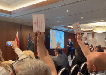 “ჯერ საქართველო” საჯარო რეესტრის გადაწყვეტილებას გაასაჩივრებს