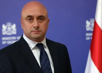 მიხეილ კიკნაძე კულტურის მინისტრის პირველ მოადგილედ დაინიშნა