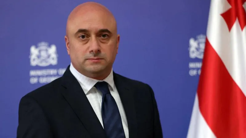 მიხეილ კიკნაძე კულტურის მინისტრის პირველ მოადგილედ დაინიშნა