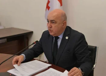 მალე ჯანდაცვის მსოფლიო ორგანიზაცია საქართველოს C ჰეპატიტისგან თავისუფალ ქვეყნად გამოაცხადებს