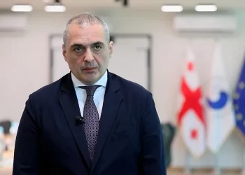 პენიტენციური სამსახურის გენერალური დირექტორი ოჯახის განცხადებას, რომ მსჯავრდებულ გიორგი დავითაძეზე სისტემატური ძალადობა ხორციელდება, სიცრუეს უწოდებს და აცხადებს, რომ არსებულ ვიდეომასალებში „დანაშაულის ნიშნები არ იკვეთება“
