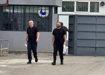 ვასილ მხეიძემ და გიორგი ხაინდრავამ ციხე დატოვეს