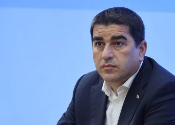 “ჰერჩინსკი ვერაფერსაც ვერ მიმხვდარა, ვის რაში სჭირდება მისი დამტვრეული ქართული”- რას ამბობს შალვა პაპუაშვილი